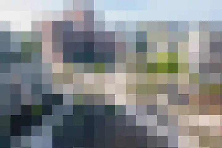 Surinamepad 118 Haarlem thumbnail 50