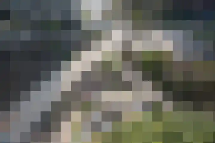 Surinamepad 118 Haarlem thumbnail 56