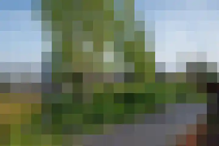 Surinamepad 118 Haarlem thumbnail 60