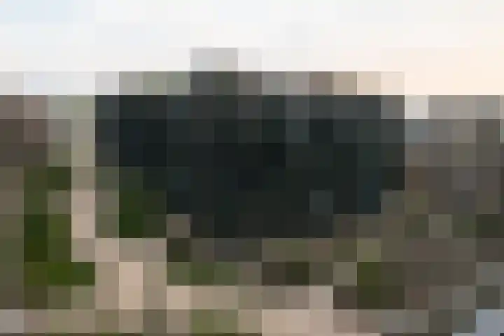 Surinamepad 118 Haarlem thumbnail 61