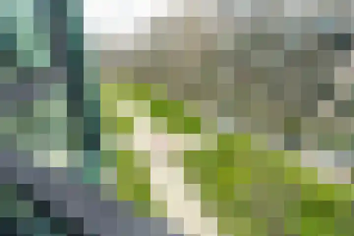 Surinamepad 192 Haarlem thumbnail 11