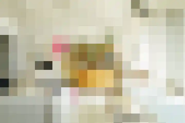 Surinamepad 192 Haarlem thumbnail 13