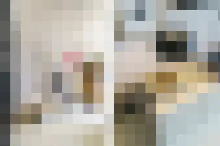 Surinamepad 192 Haarlem thumbnail 14