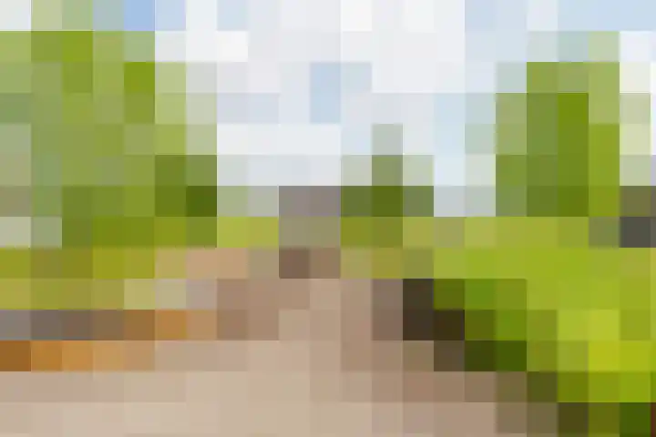 Surinamepad 192 Haarlem thumbnail 37
