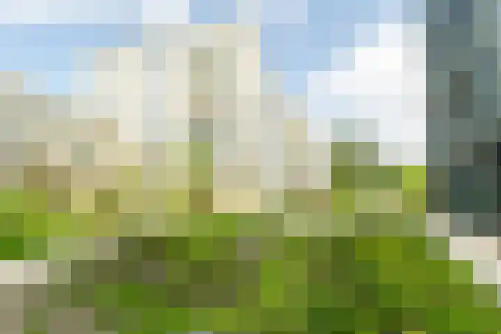 Surinamepad 192 Haarlem thumbnail 38