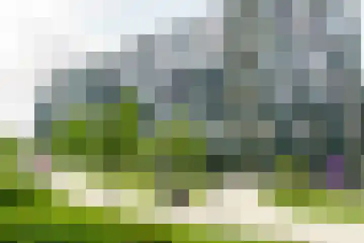 Surinamepad 192 Haarlem thumbnail 39