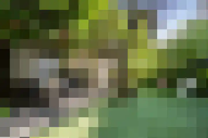 Surinameplein 78 Amsterdam thumbnail 10