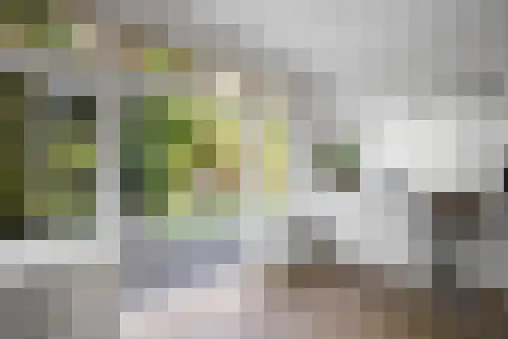 Surinameplein 78 Amsterdam thumbnail 18