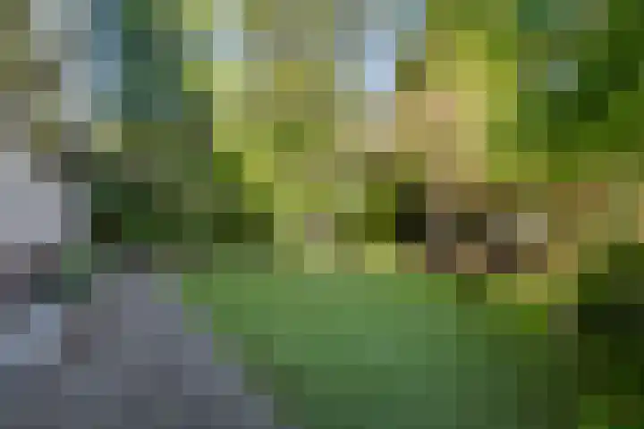 Surinameplein 78 Amsterdam thumbnail 20