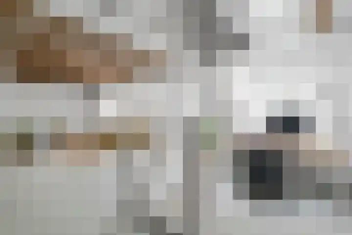 Surinameplein 78 Amsterdam thumbnail 43