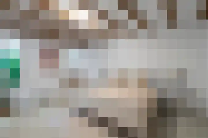 Surinameplein 78 Amsterdam thumbnail 45