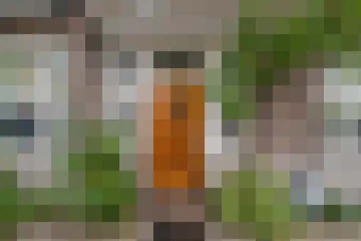 Surinameplein 78 Amsterdam thumbnail 52