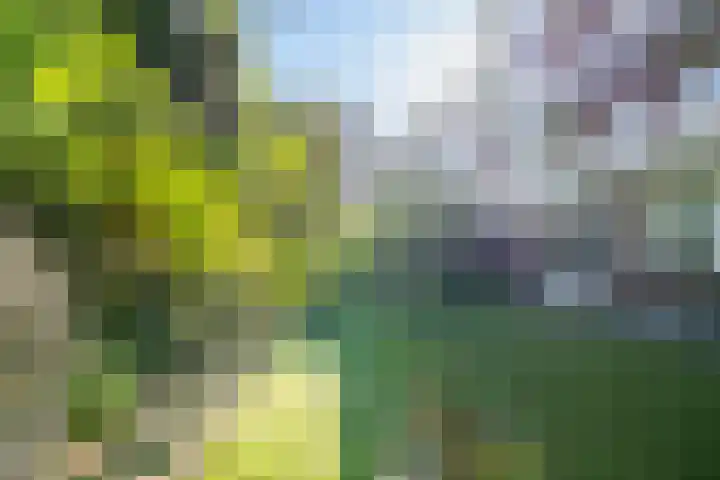 Surinameplein 78 Amsterdam thumbnail 9