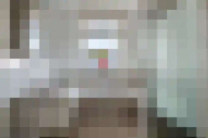 Suringarstraat 4 Boskoop thumbnail 17