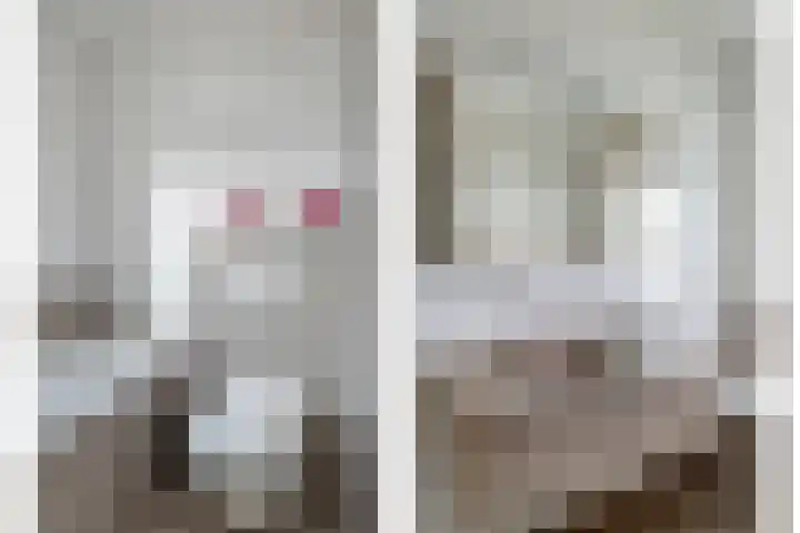 Suringarstraat 4 Boskoop thumbnail 18