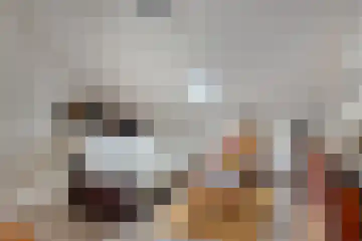 Suringarstraat 4 Boskoop thumbnail 22
