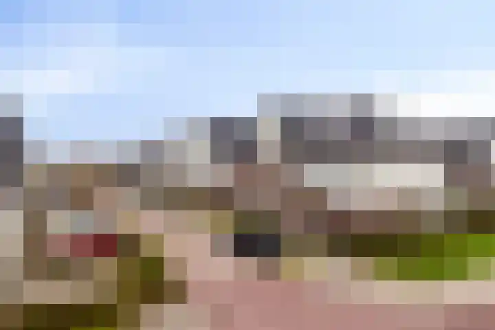 Suringarstraat 4 Boskoop thumbnail 26