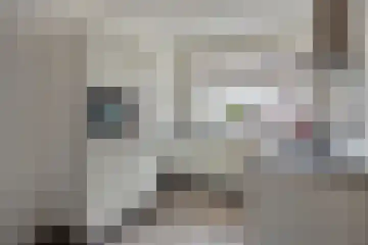 Suringarstraat 4 Boskoop thumbnail 8