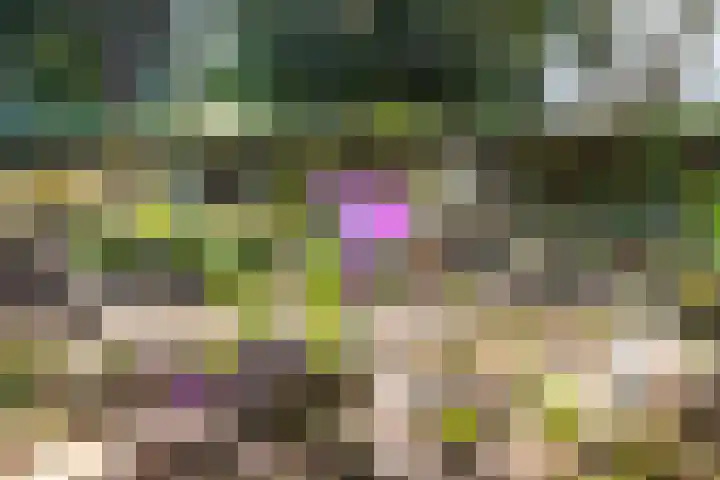 Susterenhof 19 Genderen thumbnail 23