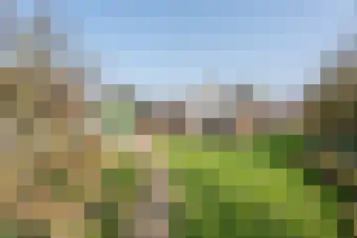 Susterenhof 19 Genderen thumbnail 25