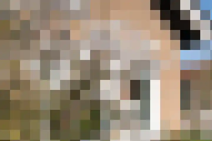 Susterenhof 19 Genderen thumbnail 27