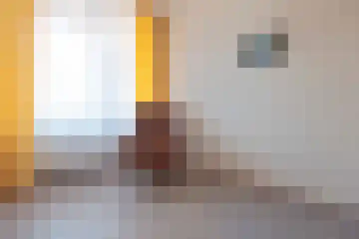 Suykers acker 119 Heemskerk thumbnail 18