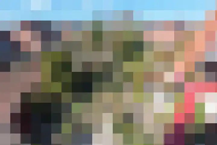 Suykers acker 119 Heemskerk thumbnail 25