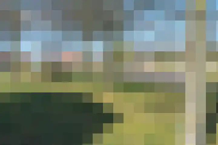 Suykers acker 119 Heemskerk thumbnail 28