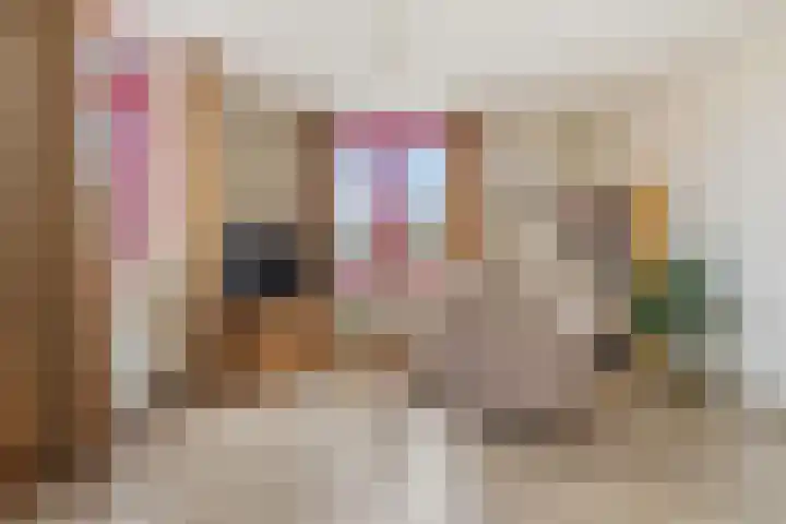 Suykers acker 19 Heemskerk thumbnail 13