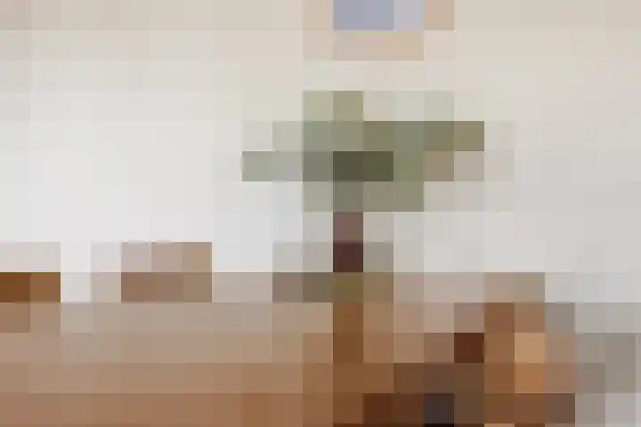 Suykers acker 19 Heemskerk thumbnail 14