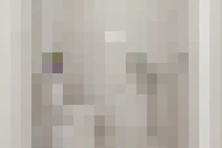 Suykers acker 19 Heemskerk thumbnail 21
