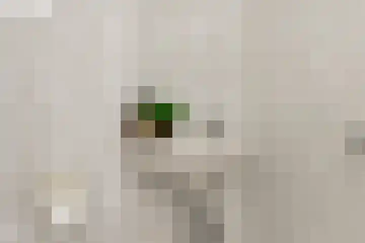 Suykers acker 19 Heemskerk thumbnail 22