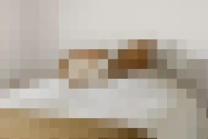 Suykers acker 19 Heemskerk thumbnail 29