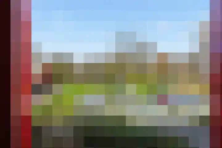 Suykers acker 19 Heemskerk thumbnail 30