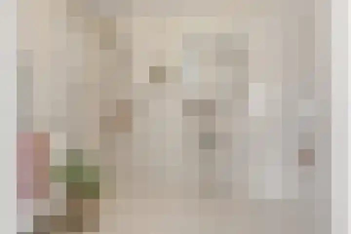Suykers acker 19 Heemskerk thumbnail 31