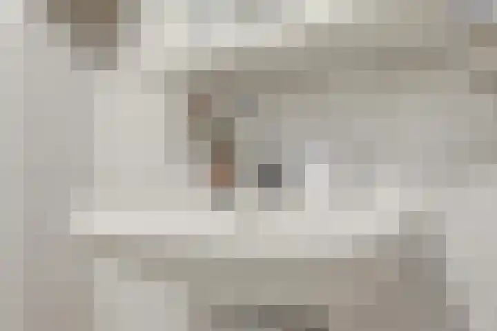 Suykers acker 19 Heemskerk thumbnail 33