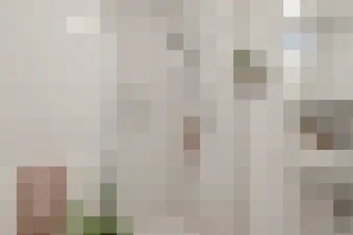 Suykers acker 19 Heemskerk thumbnail 34
