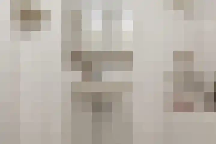 Suykers acker 19 Heemskerk thumbnail 36