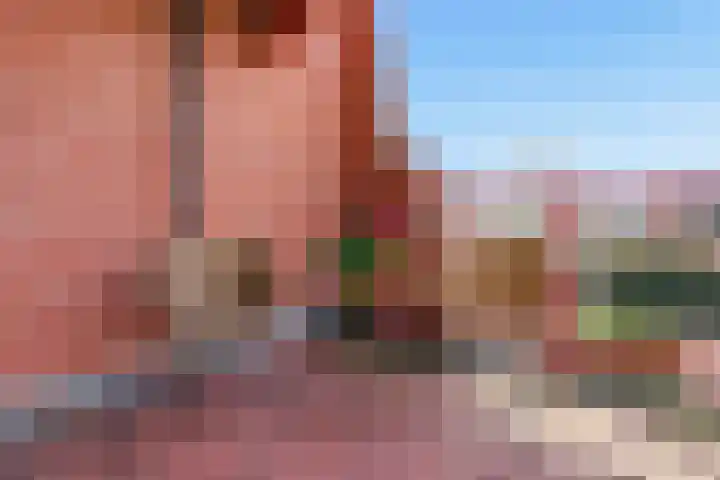 Suykers acker 19 Heemskerk thumbnail 40
