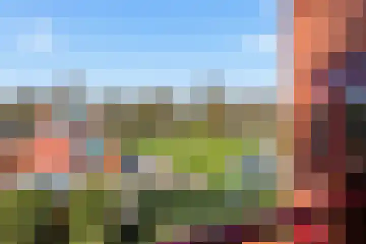 Suykers acker 19 Heemskerk thumbnail 41