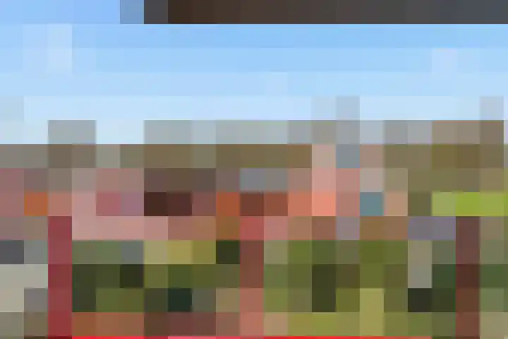 Suykers acker 19 Heemskerk thumbnail 43