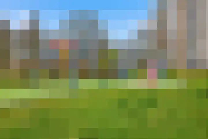 Suykers acker 19 Heemskerk thumbnail 45