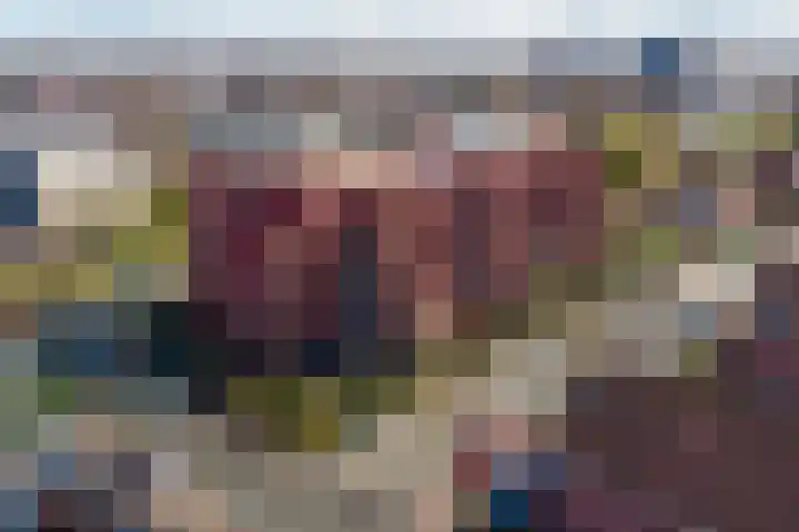 Suykers acker 19 Heemskerk thumbnail 46