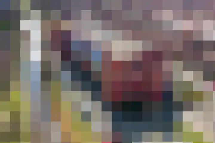 Suykers acker 19 Heemskerk thumbnail 47