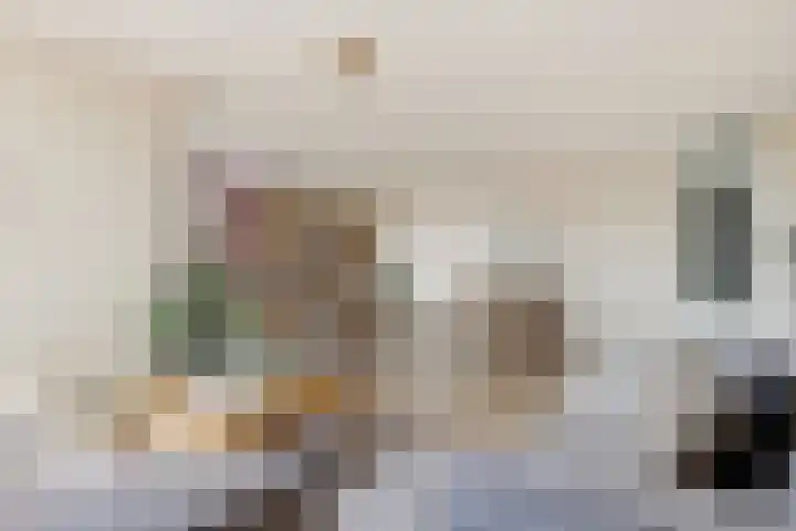 Suykers acker 19 Heemskerk thumbnail 8