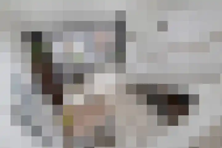 Suytboulevard 12 Helmond thumbnail 19