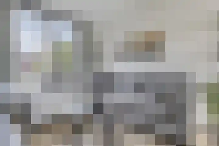 Suytboulevard 12 Helmond thumbnail 5