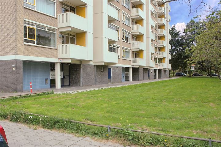 Suzannaland 282 in 's-Gravenhage foto