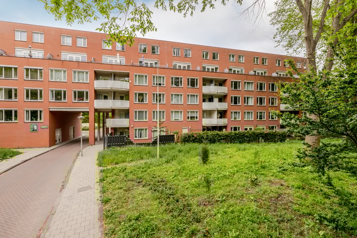 Suze Groenewegplantsoen 71 in Amsterdam foto