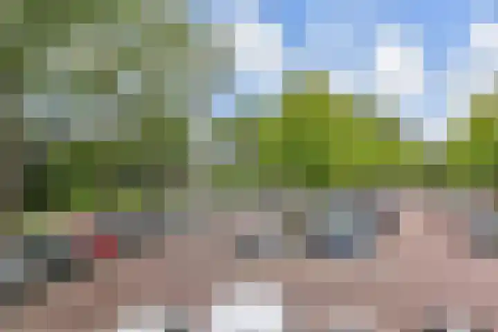 Swadenburg 2 Gouda thumbnail 29